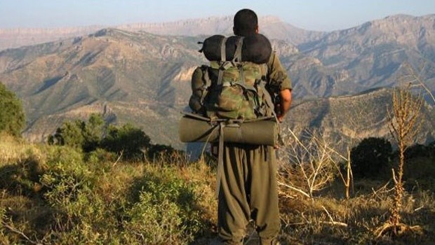 Kars'ta PKK'ya ağır darbe