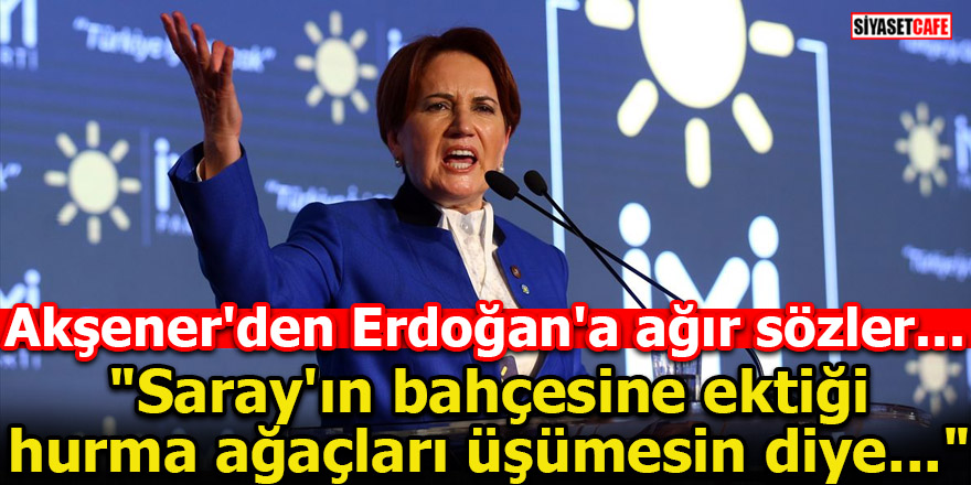 Akşener'den Erdoğan'a ağır sözler! 'Saray'ın bahçesine ektiği hurma ağaçları...'