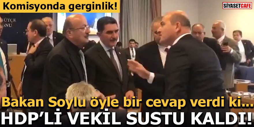 Süleyman Soylu'dan HDP'li vekile çok sert cevap!