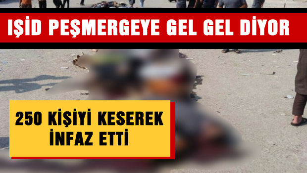 IŞİD, 250 kişiyi keserek infaz etti