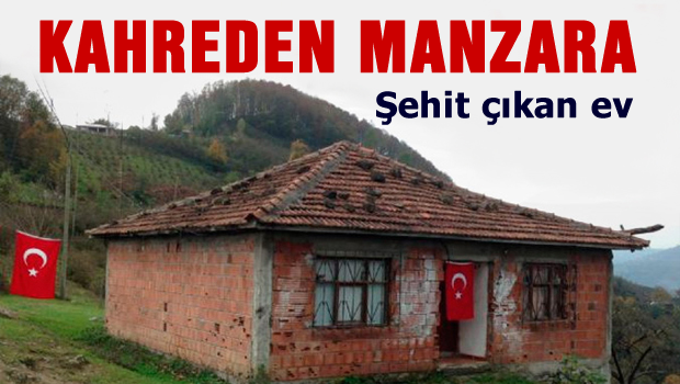 Şehit babası yürek burktu