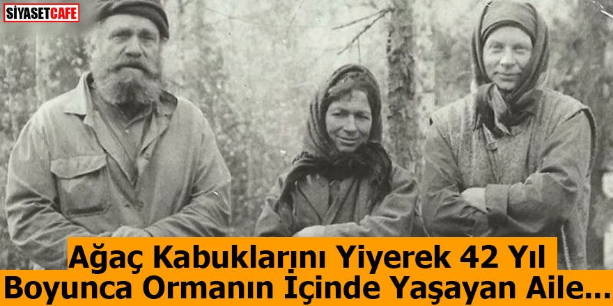 Ağaç Kabuklarını Yiyerek 42 Yıl Boyunca Ormanın İçinde Yaşayan Aile