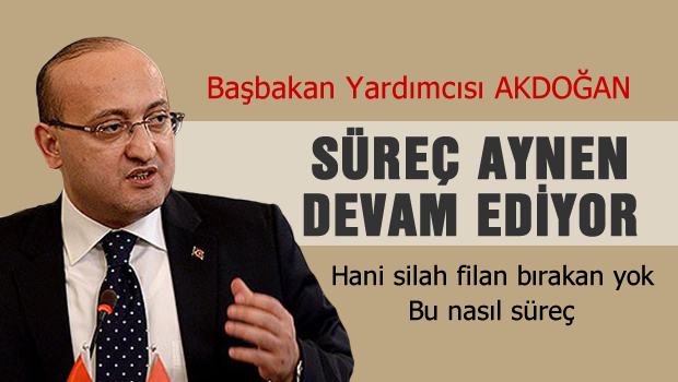 Çözüm süreci kararlılıkla devam ettirilecektir