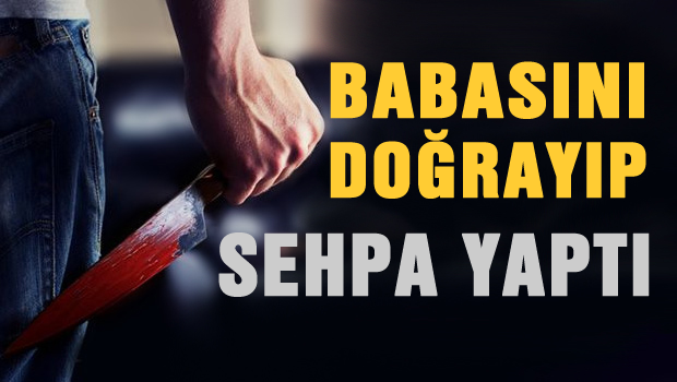 Cani evlat, Babasını doğrayıp TV sehpası yaptı!