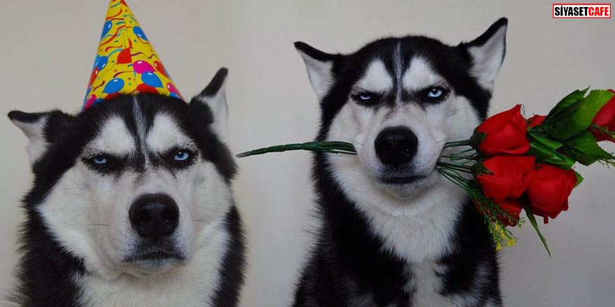 İnternetin yeni fenomeni: Sert bakışlı Anuko