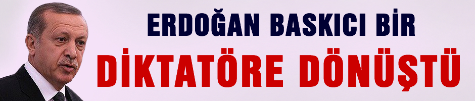 'Erdoğan baskıcı bir diktatöre dönüştü'