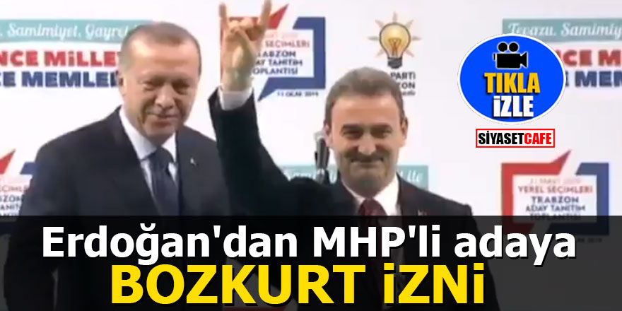 Erdoğan'dan MHP'li adaya Bozkurt izni