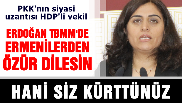 Erdoğan TBMM'de Ermenilerden özür dilesin