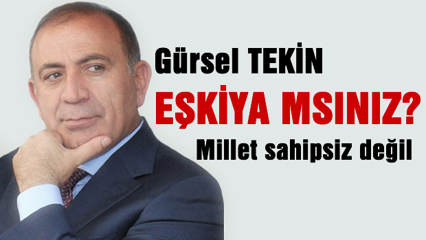 Gürsel Tekin: Eşkiya mısınız?