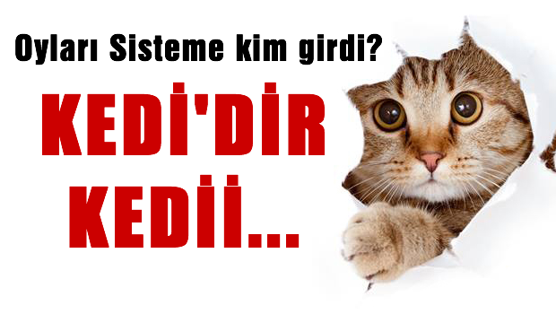 Oy hırsızlığı iddiası: 'Sonuçları AKP'liler girdi'