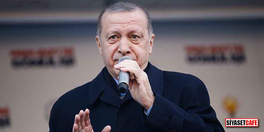 Cumhurbaşkanı Erdoğan’dan Milli Takım’la anlaşan Şenol Güneş yorumu