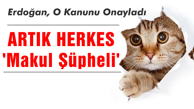 Erdoğan onayladı, artık 'makul şüpheli'yiz