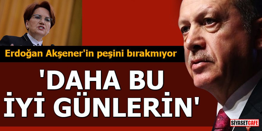 Erdoğan Akşener'in peşini bırakmıyor 'Daha bu iyi günlerin'