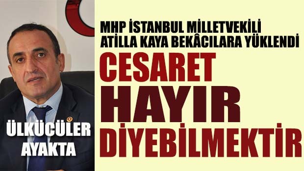 MHP'li Atilla Kaya Başkanlığı 'Türklüğün bekasına' bağlayanlara yüklendi