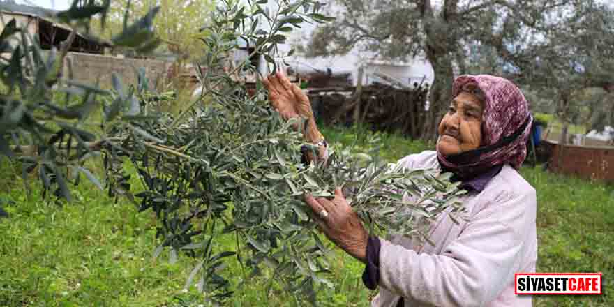 102 yaşındaki Hanife Gezgin, tarlada çalışarak gençlere taş çıkarıyor