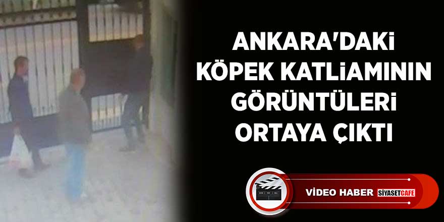 Ankara’da köpekleri zehirleyerek öldüren kişilerin görüntüleri ortaya çıktı