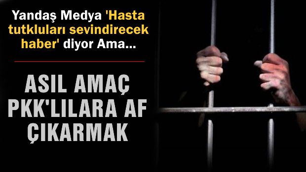 PKK'lı Mahkumlara affın kılıfı bulundu
