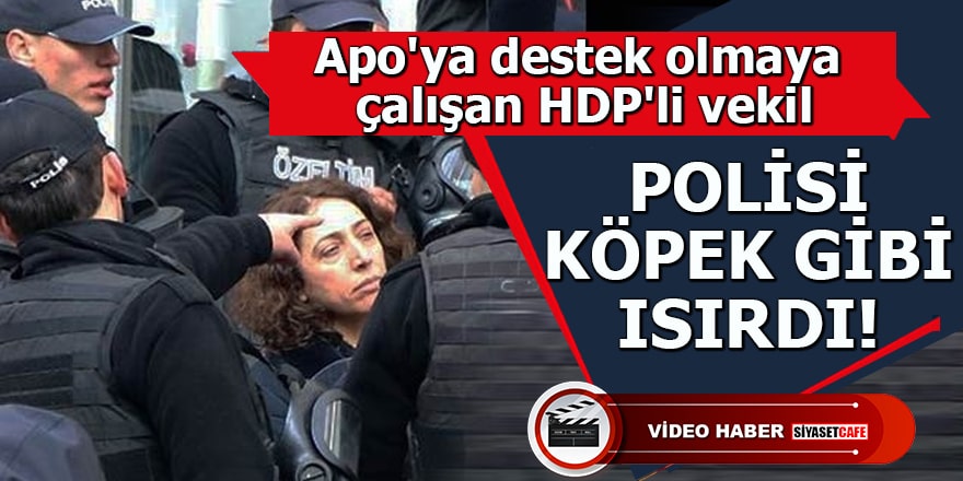 Apo'ya destek olmaya çalışan HDP'li vekil polisi köpek gibi ısırdı
