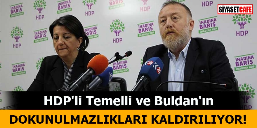 HDP'li Temelli ve Buldan'ın dokunulmazlıkları kaldırılıyor! 