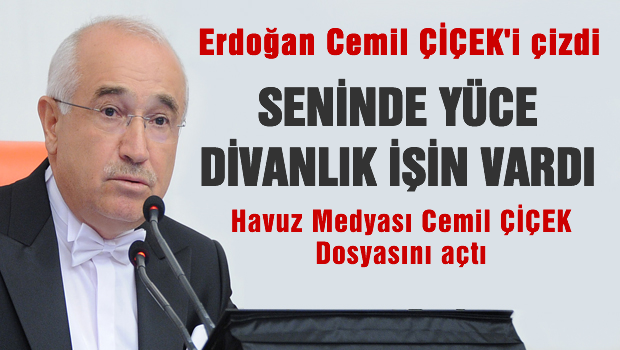 Erdoğan Cemil Çiçek'in üstünü çizdi!