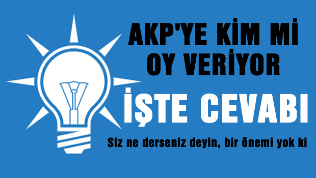 AKP'ye kim mi oy veriyor? İşte cevabı