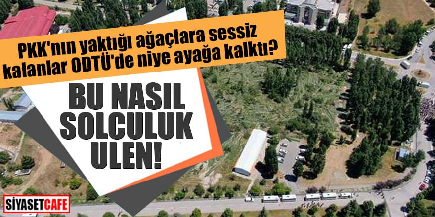 PKK'nın yaktığı ağaçlara sessiz kalanlar ODTÜ'de niye ayağa kalktı? Bu nasıl solculuk ulen!