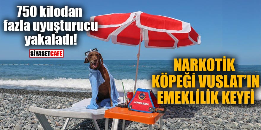 Narkotik köpeği Vuslat emekli oldu