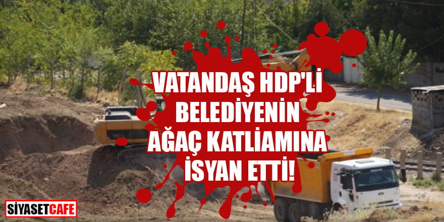 Vatandaş HDP'li Belediyenin ağaç katliamına isyan etti