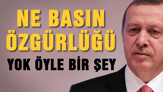 Erdoğan: Ne basın özgürlüğü yok öyle bir şey