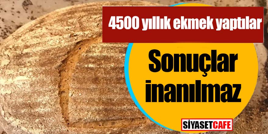 4500 yıllık ekmek yaptılar; Sonuçlar inanılmaz!