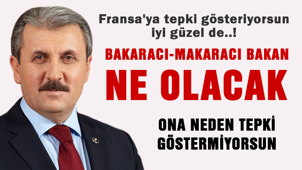 Fransa'ya tepki gösteriyorsun da Bakaracı-Makaracı bakana neden göstermiyorsun