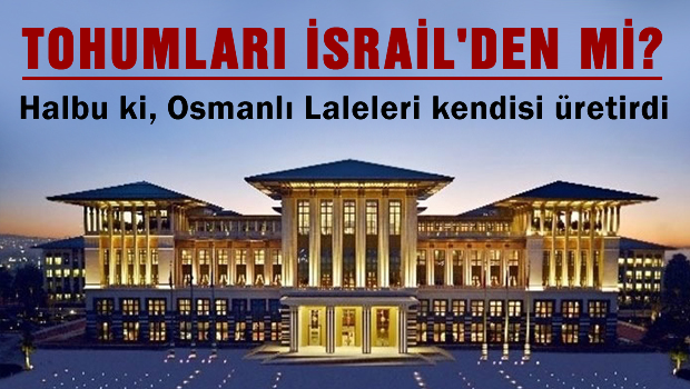 ŞOK İDDİA 'Ak-Saray'ın lale tohumları İsrail'den mi alındı