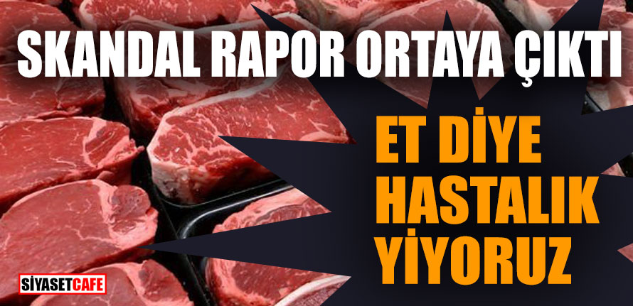Skandal rapor ortaya çıktı; et diye hastalık yiyoruz!