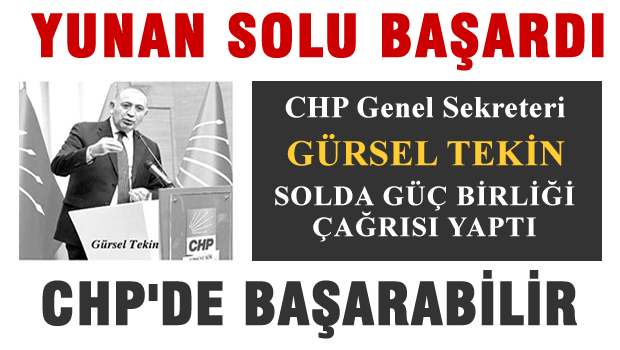 Tekin: Seçimde güç birliği yapalım