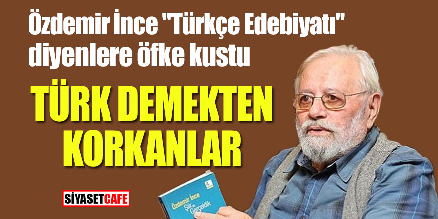 Özdemir İnce "Türkçe Edebiyatı" diyenlere öfke kustu; "Türk demekten korkanlar"