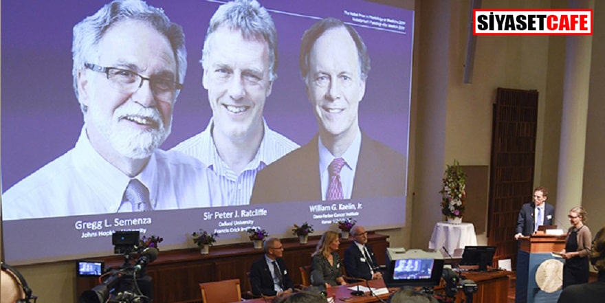 Nobel Tıp Ödülü’nü kazananlar belli oldu