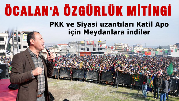 PKK ve Siyasi uzantılarından Öcalan'a özgürlük mitingi
