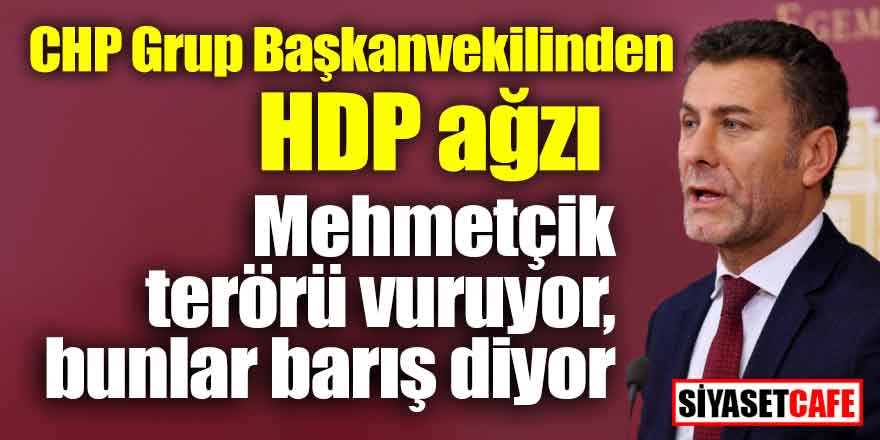 CHP Grup Başkanvekilinden HDP ağzı; Mehmetçik terörü vuruyor, bunlar barış diyor