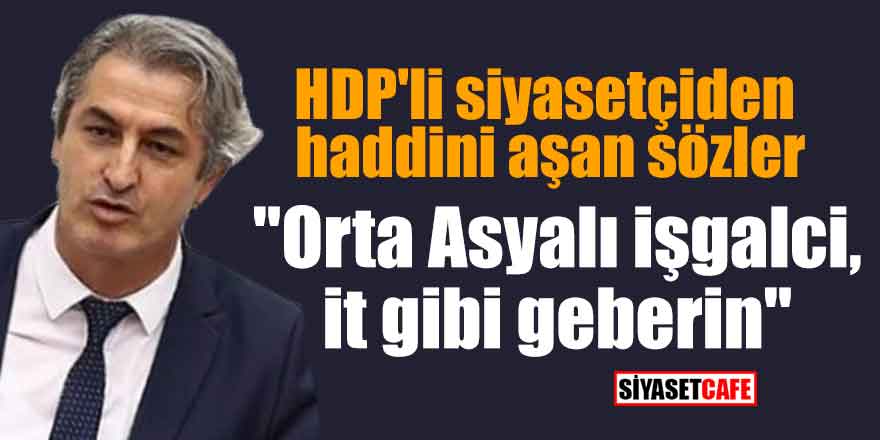 HDP'li siyasetçiden haddini aşan sözler; "Orta Asyalı işgalci, it gibi geberin"