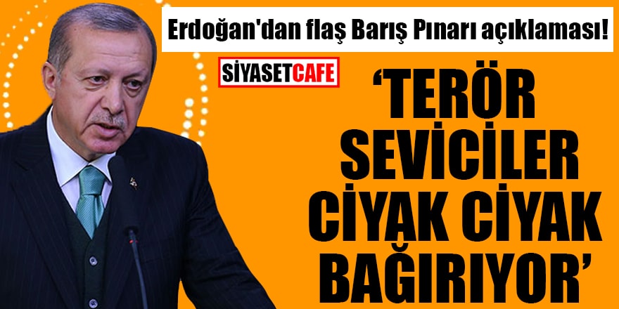 Erdoğan'dan flaş Barış Pınarı açıklaması! Terör seviciler ciyak ciyak bağırıyor