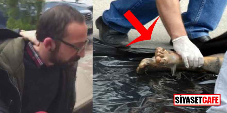 Kadıköy'deki kesik bacak cinayetinde kan donduran gelişme!