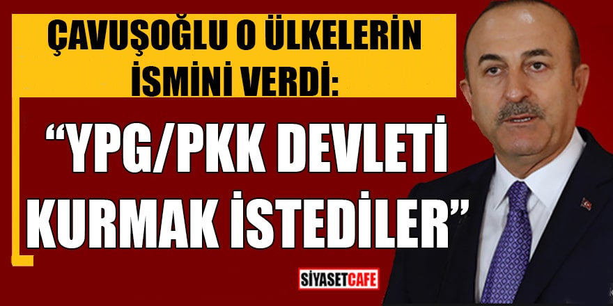 Çavuşoğlu o ülkelerin  ismini verdi: YPG/PKK devleti kurmak istediler 