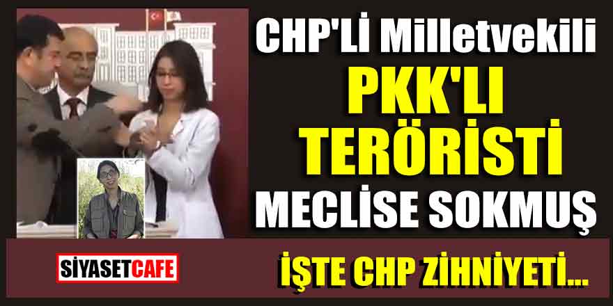 CHP'Lİ Milletvekili PKK'lı teröristi Meclis'e sokmuş