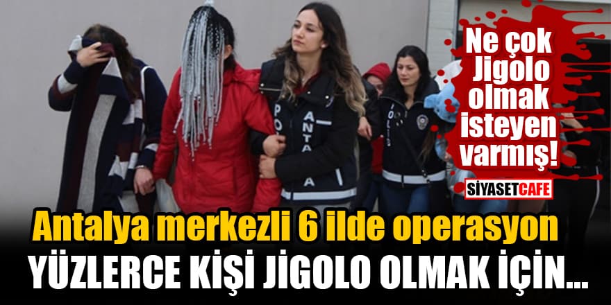 Antalya merkezli 6 ilde operasyon! Yüzlerce kişi Jigolo olmak için...