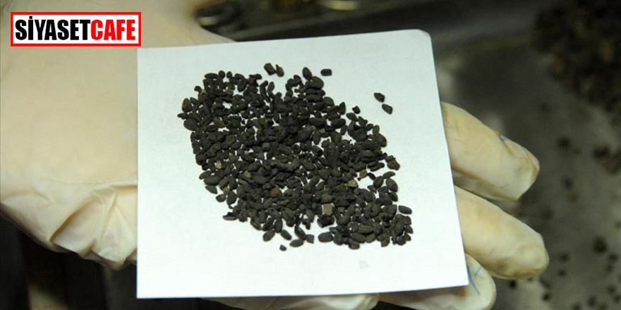 4500 yıllık buğdaylar sular altında kalmadı