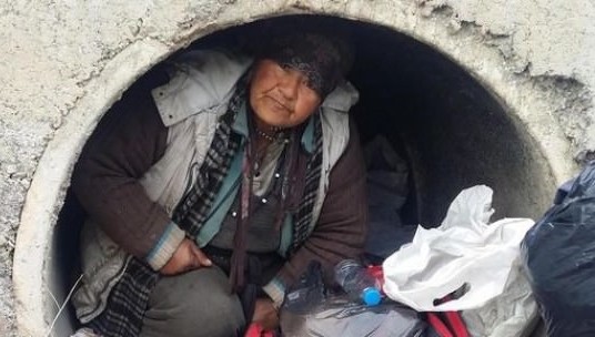 Su kanalında yaşam savaşı!