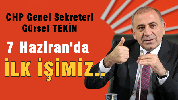 Tekin: 8 Haziran'da ilk işimiz...