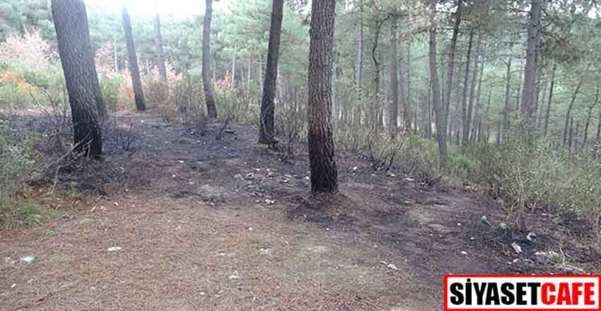 Aydos Ormanı'nda yangın!