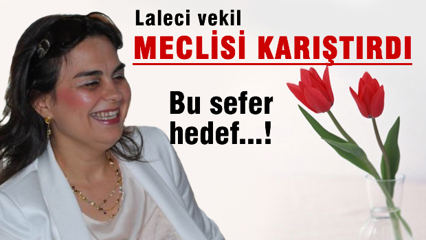 AKP'li vekilden tepki çeken İnönü paylaşımı