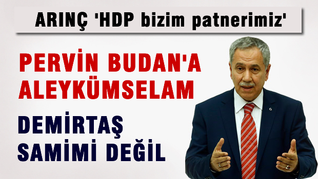 Bülent Arınç'tan önemli açıklamalar